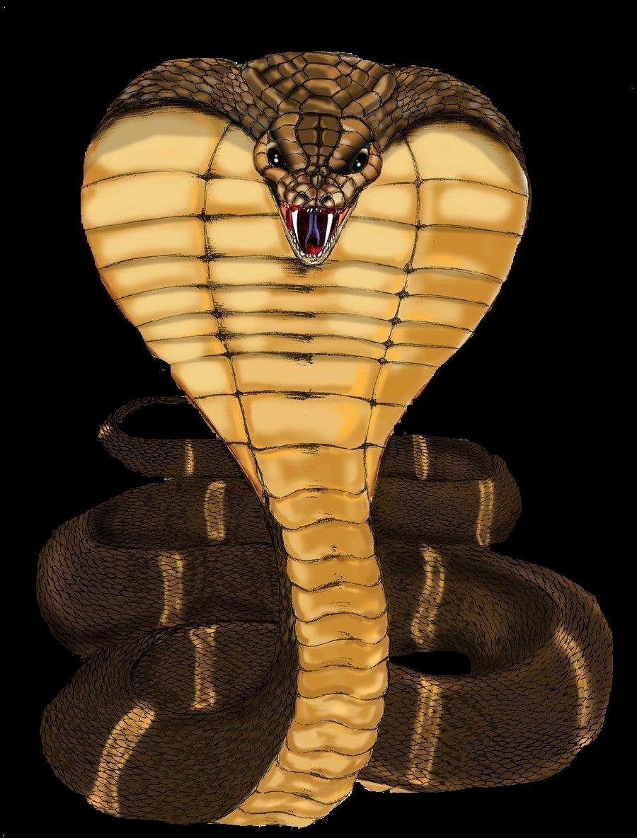 Индийская очковая Кобра