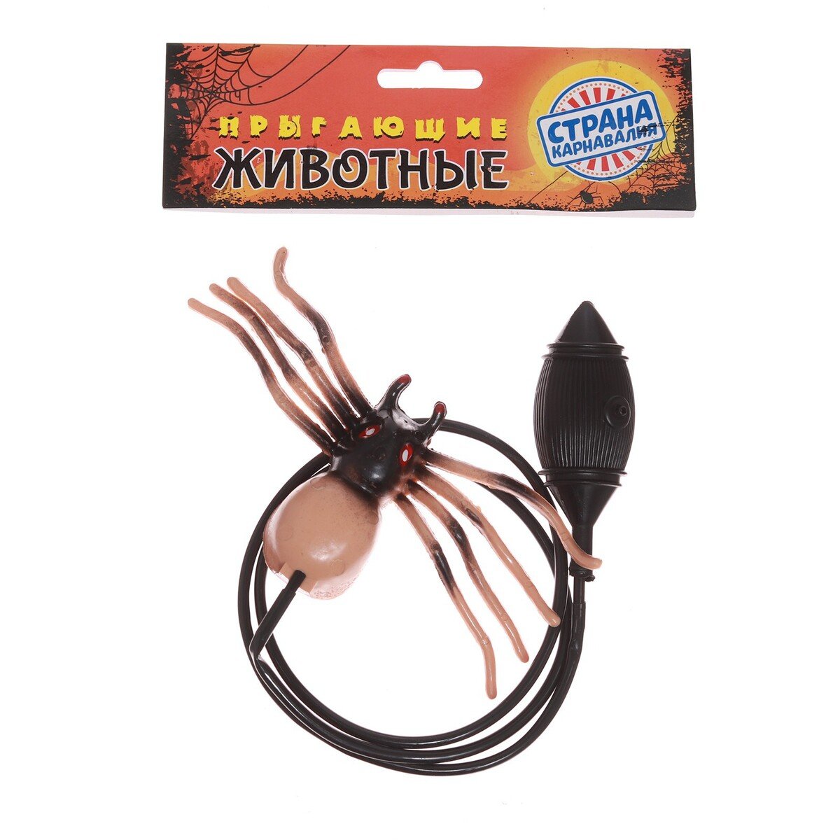 Паук ползет по стене