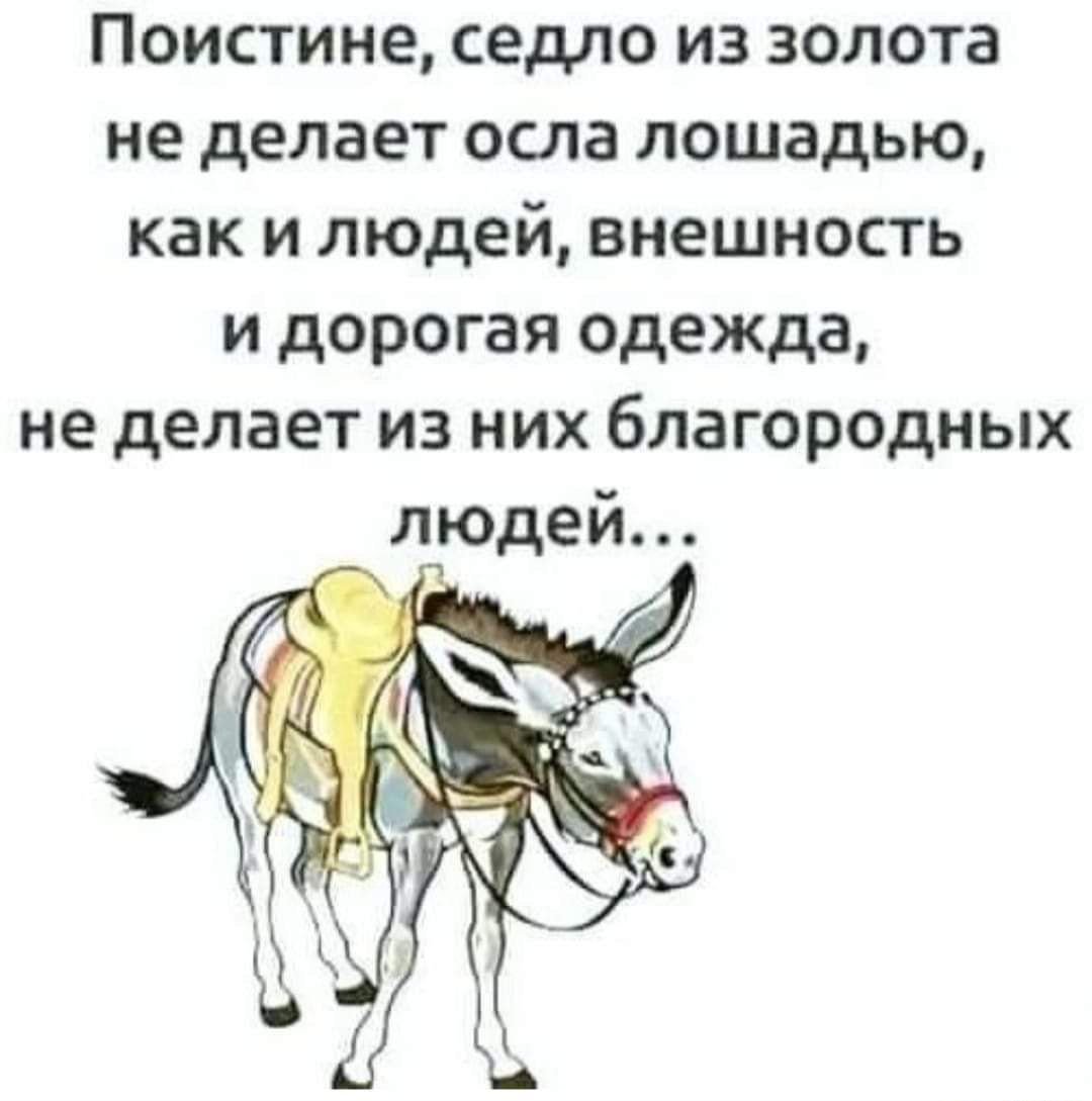 Поистине седло из золота не делает осла лошадью как и людей