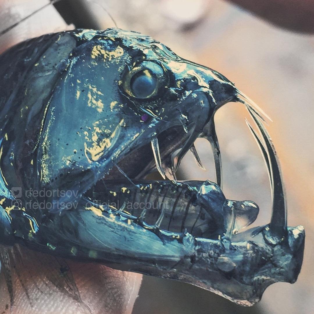 Рыбалка в большом барьерном рифе