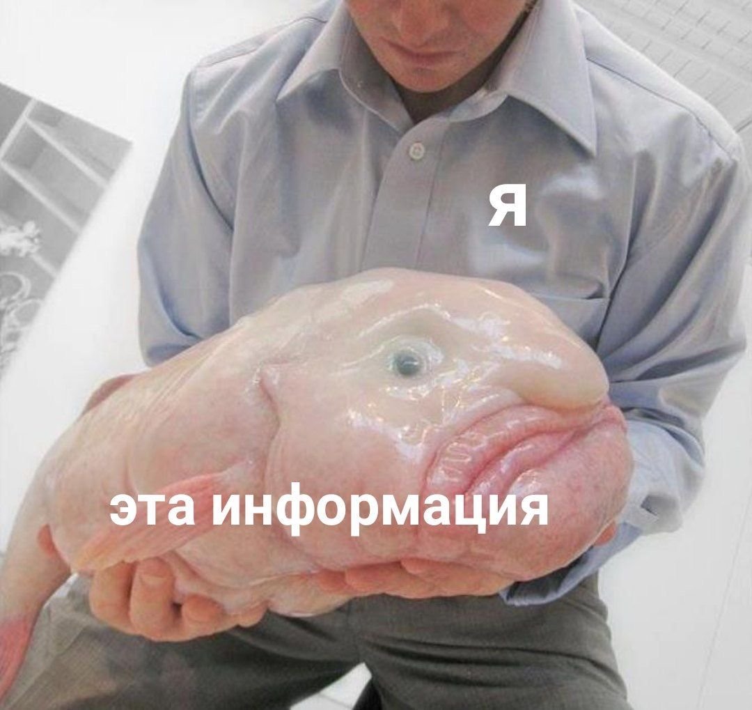 Инспектор Клузо Скат