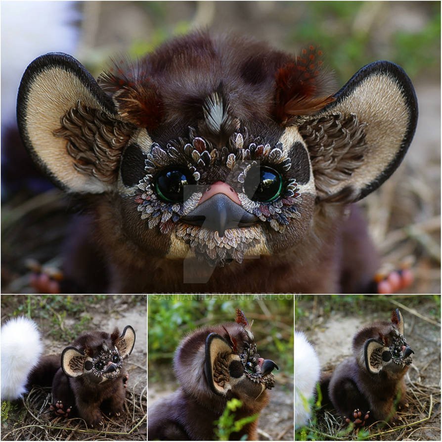 Кубинский щелезуб