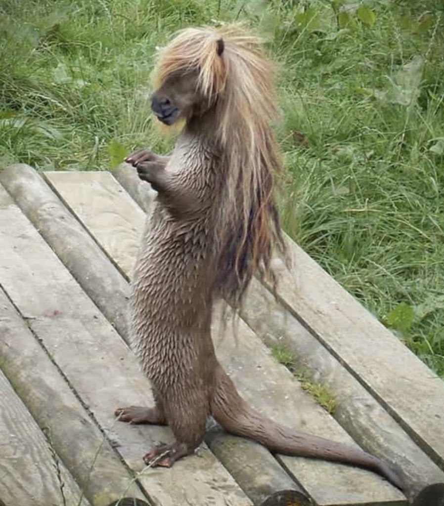 Птица гнездовик фото