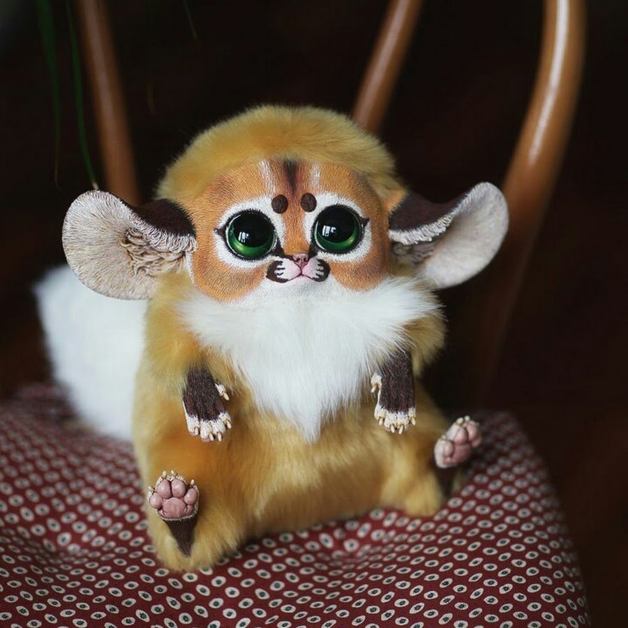 Мадагаскарский Руконог