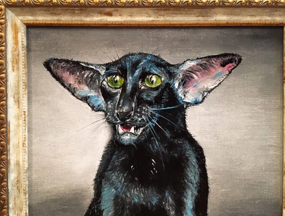 Кот грузин Ориентальная кошка