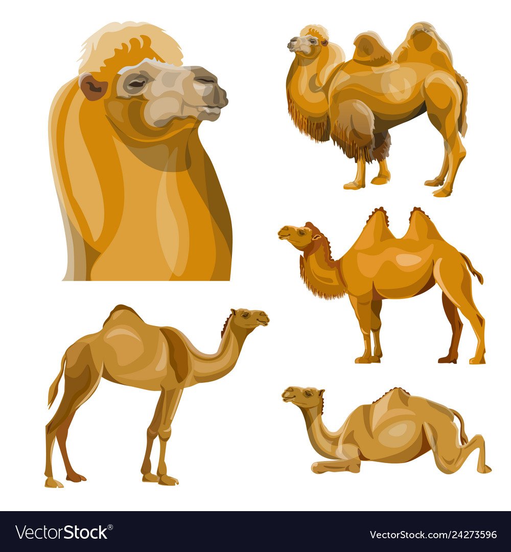 Басня Дмитриева верблюд и носорог