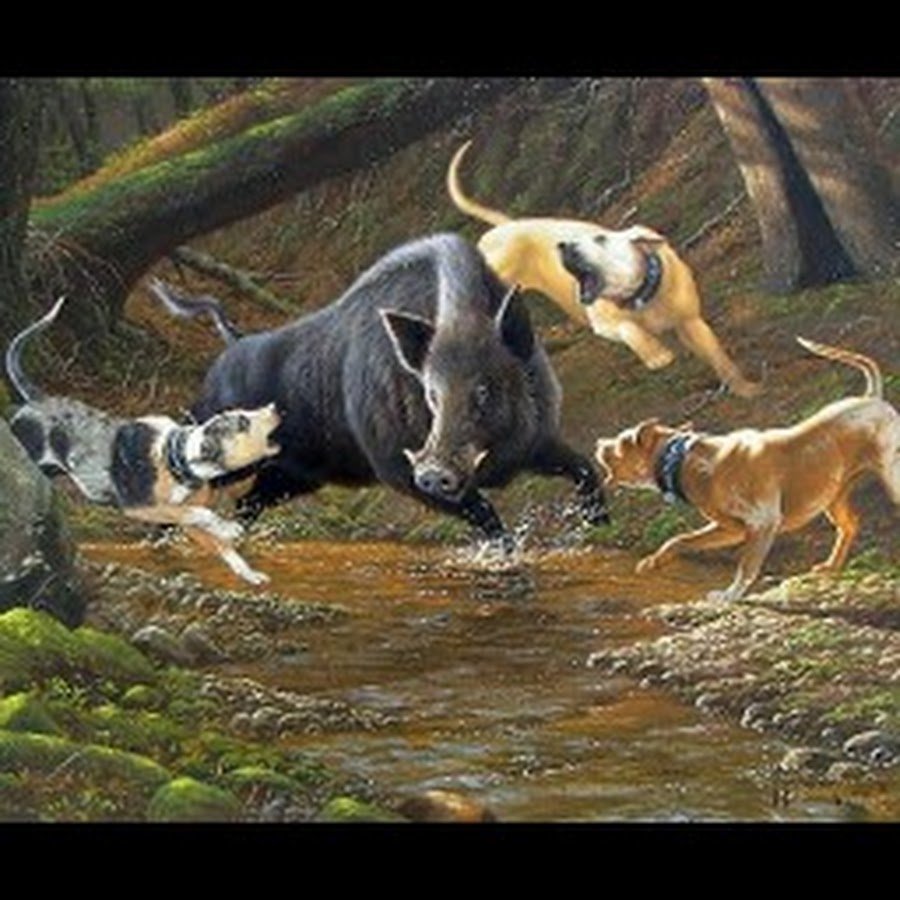 Франс Снейдерс охота на кабана