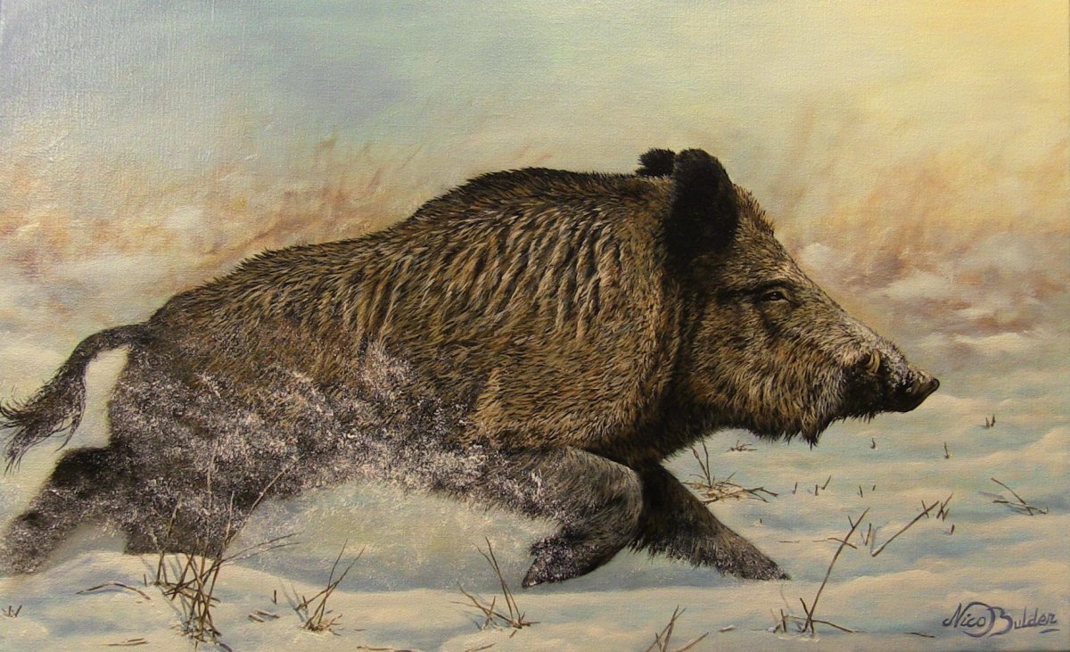 Пейзаж с волком