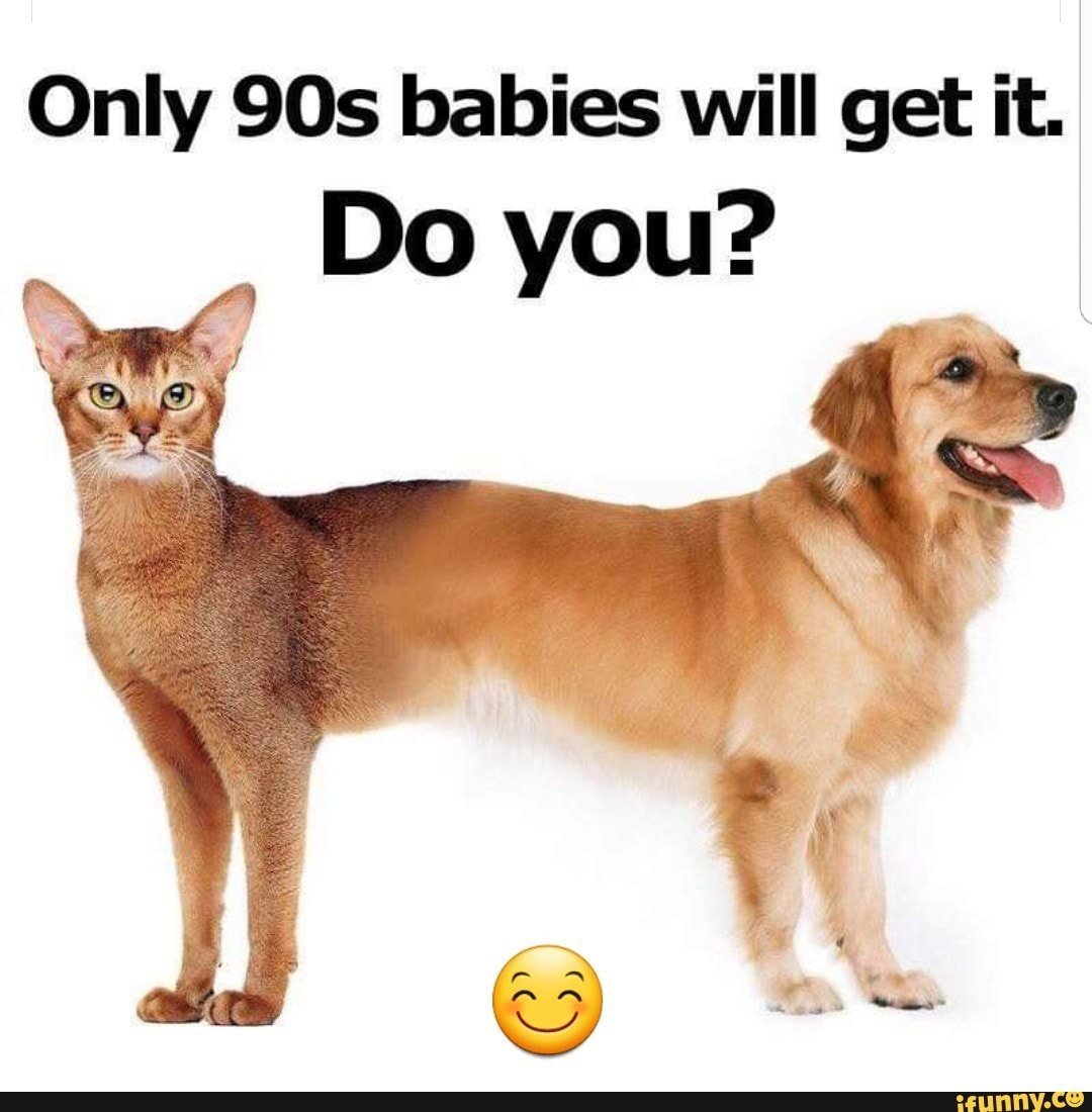 Животные пристрой