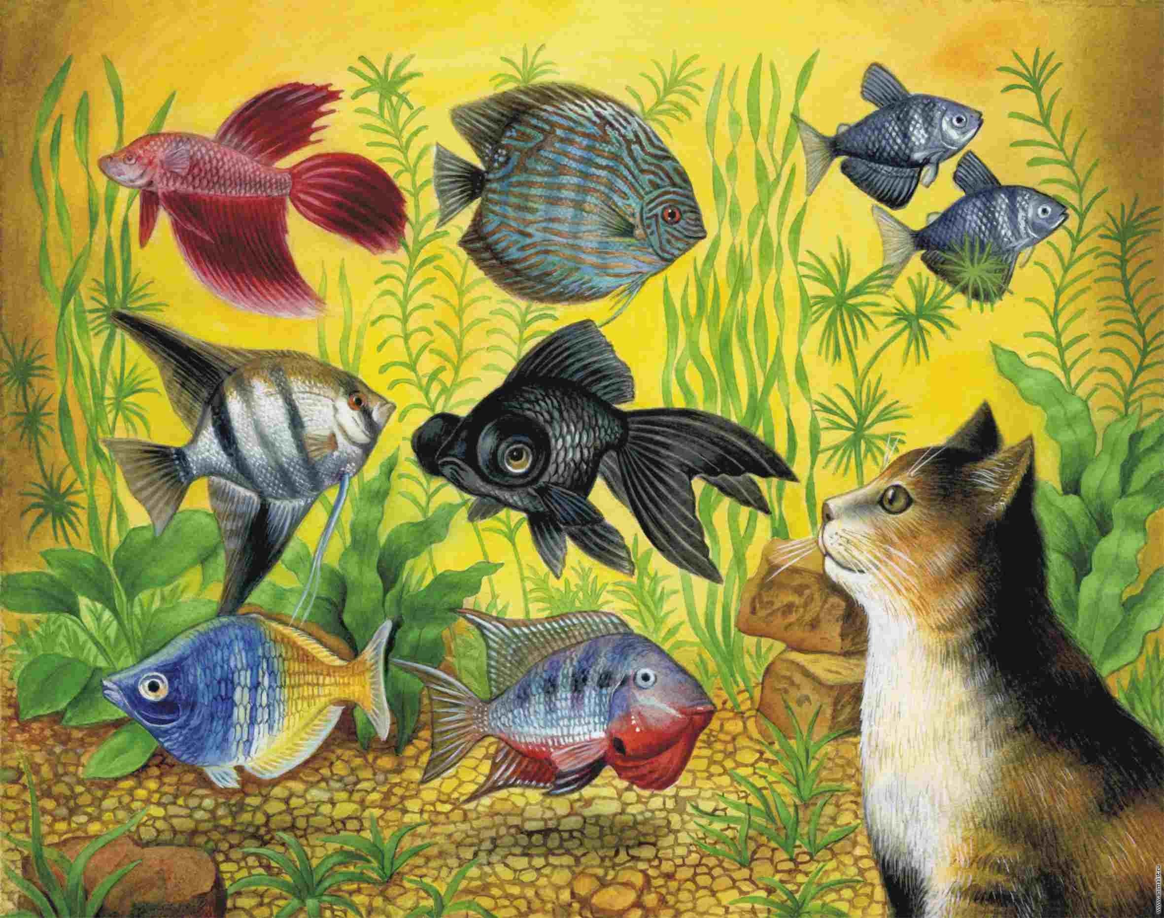 В живом уголке 4. Аквариум с рыбками для детей. Аквариумные рыбы. Аквариумные рыбки в детском саду. Аквариумные рыбки иллюстрации.