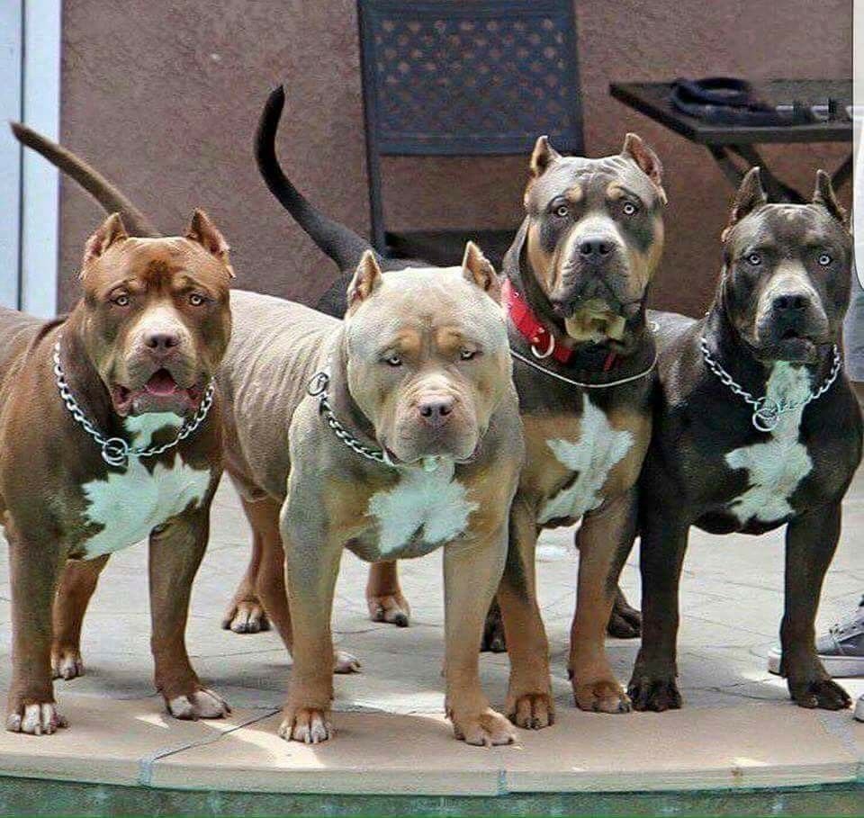 Прикольные стаффы