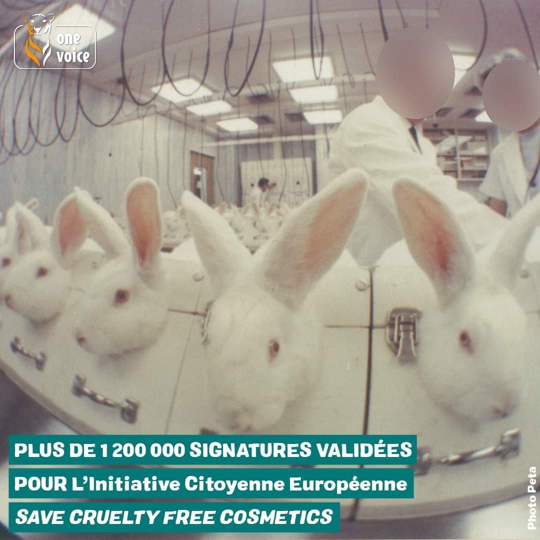 Косметика которая тестируется на животных