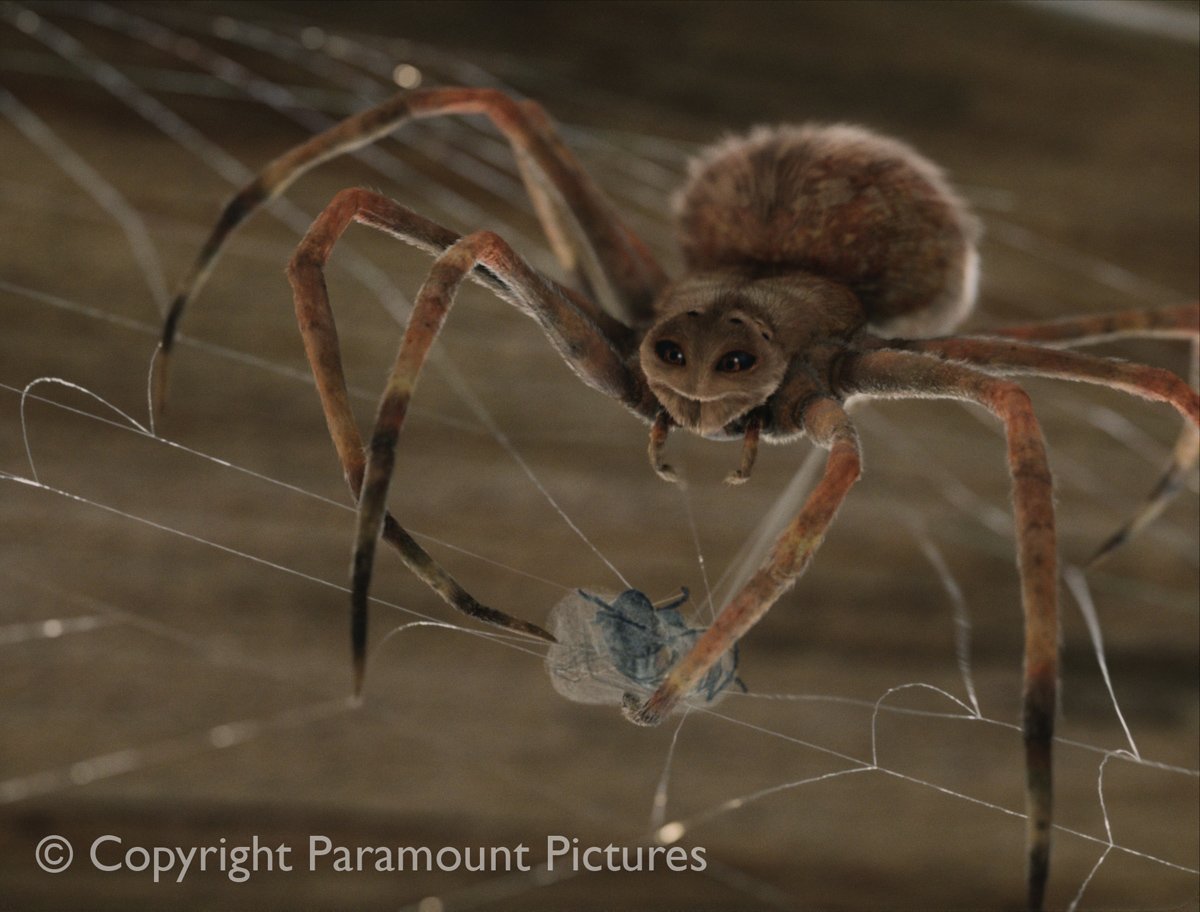 Паутина Шарлотты паучиха