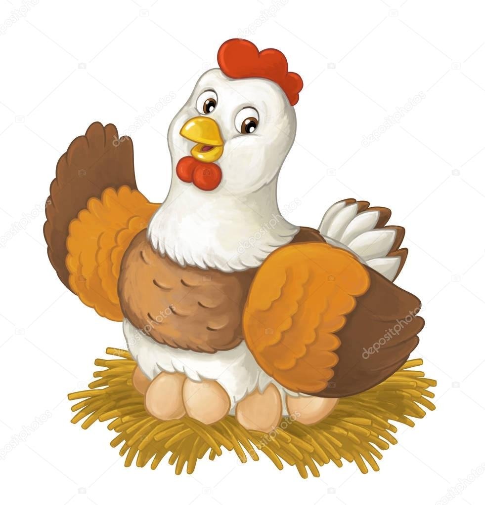 Израильская лысая порода кур