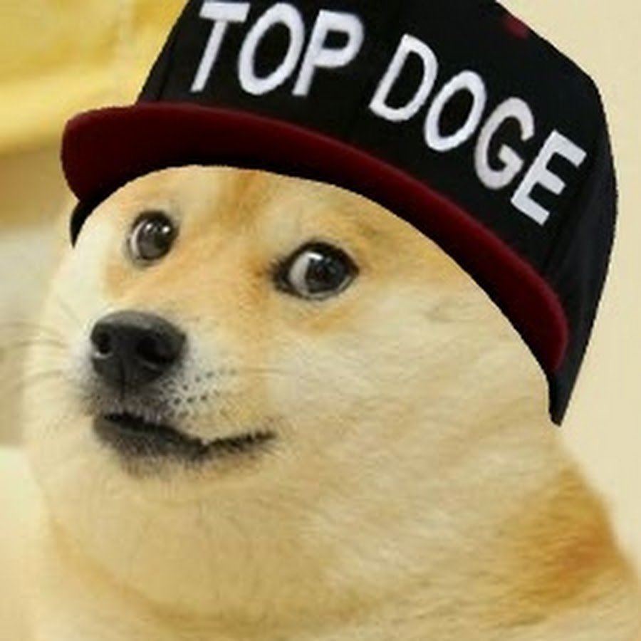 Сиба ину Феня