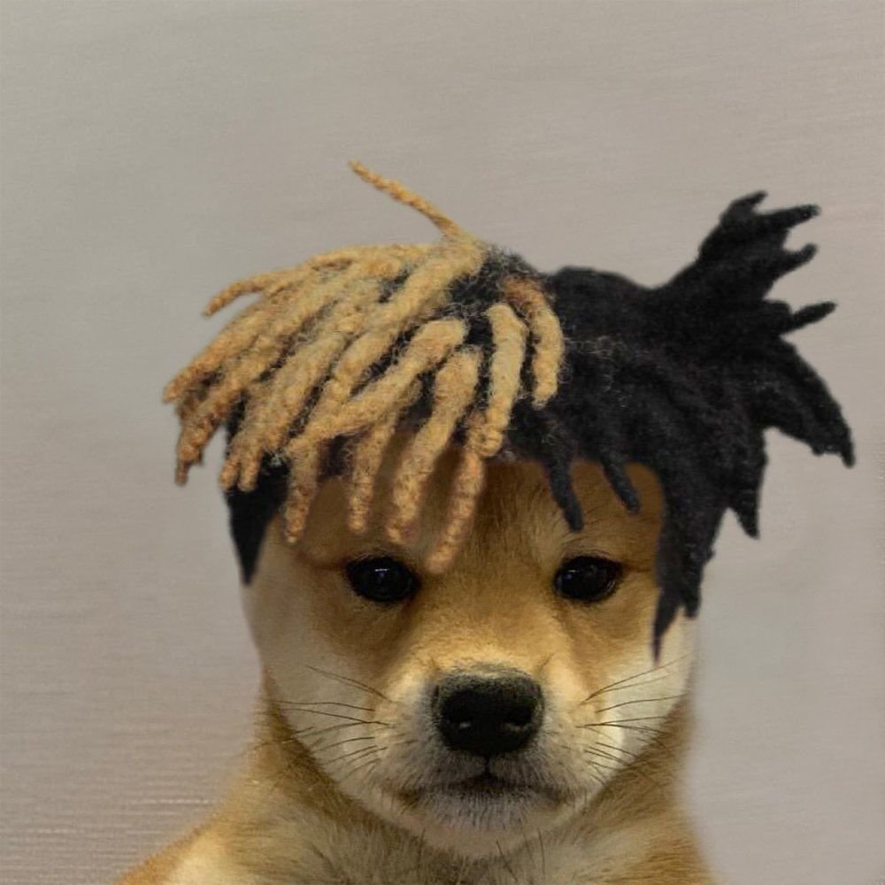 Собака подлизывается