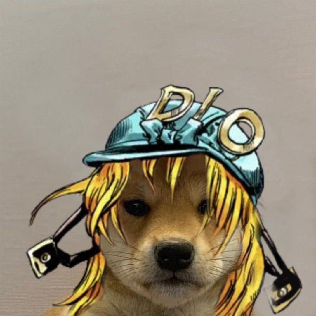 Толстая Акита ину