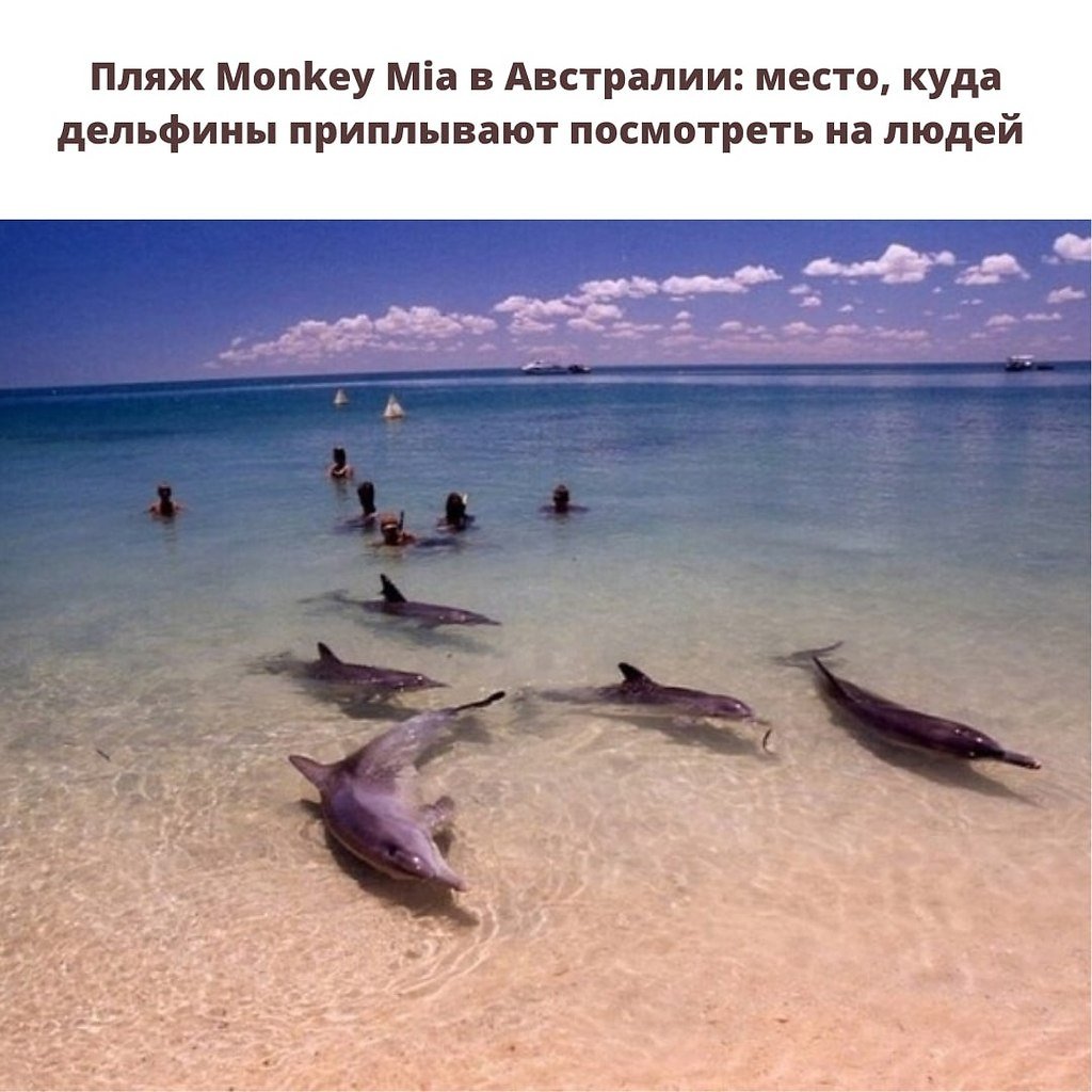 Пляж манки Миа