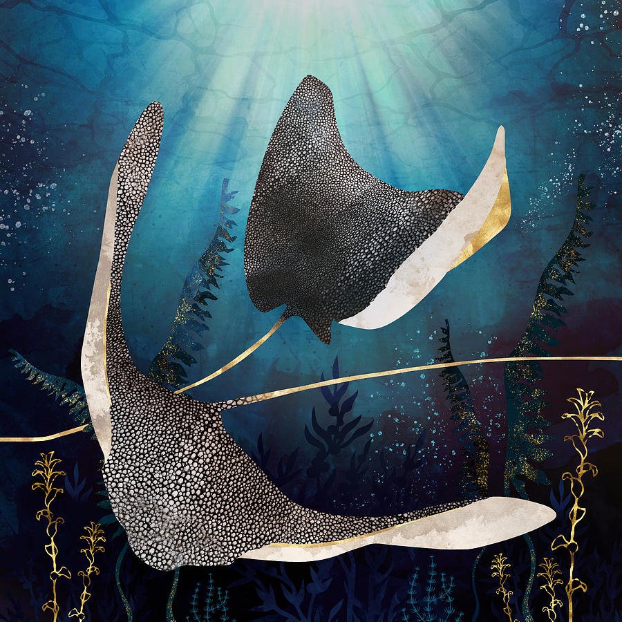 Постер Скат