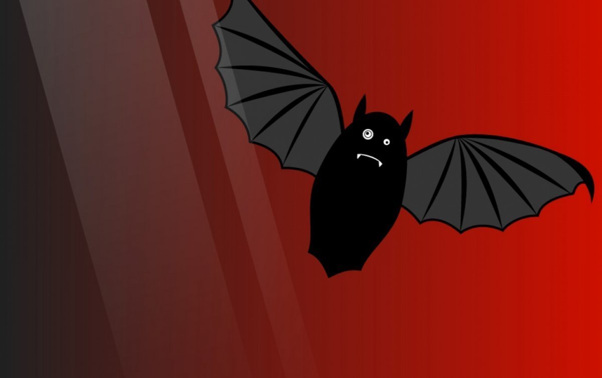 Крыланы Насекомоядные