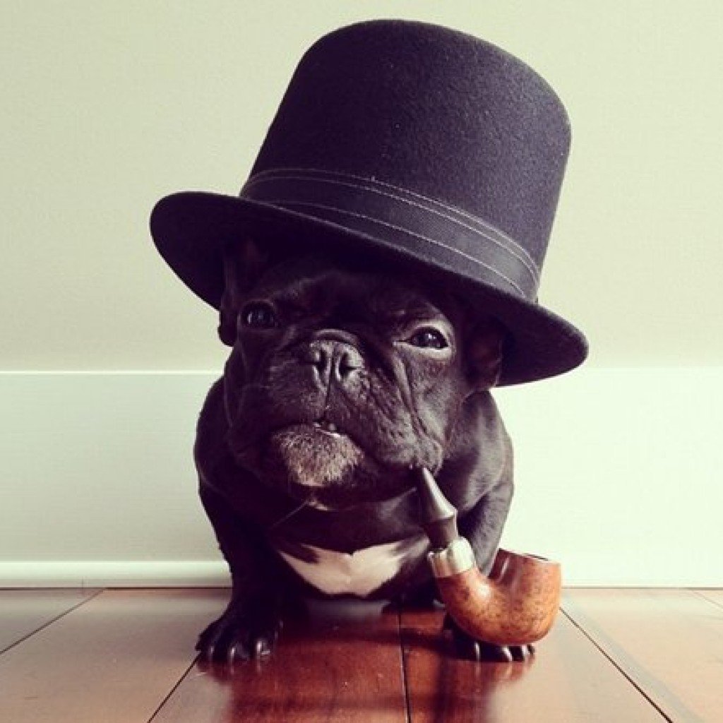 Крутые животные