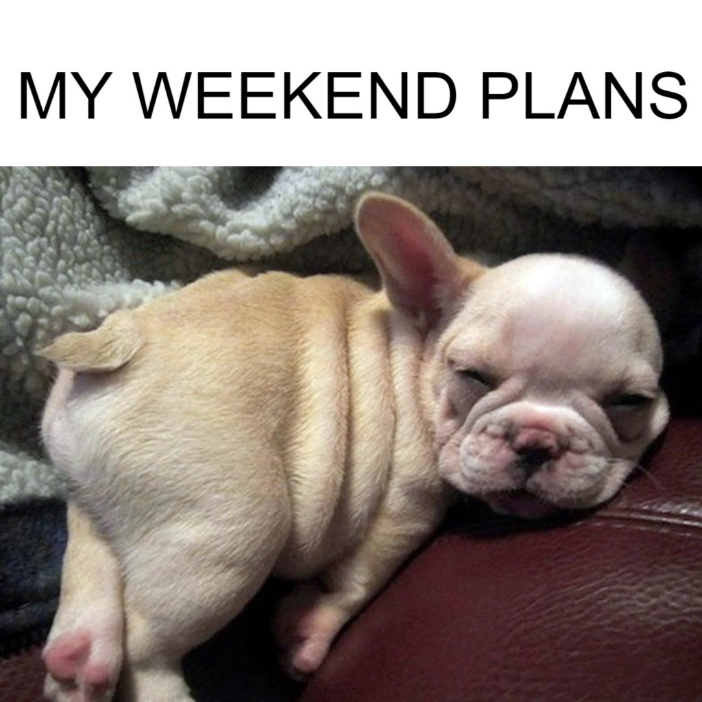 Спящий французский бульдог