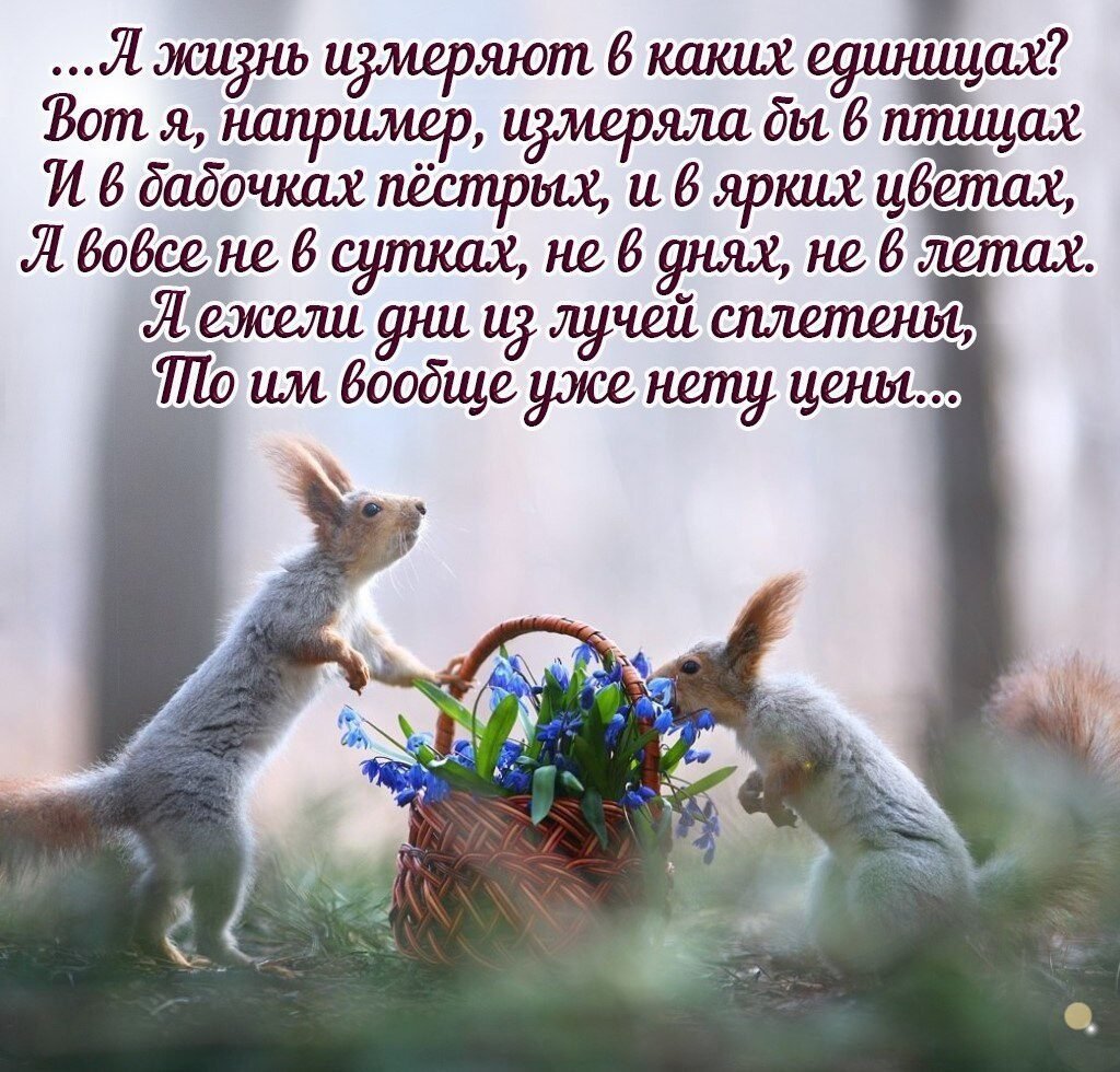 Утро Весна с животными