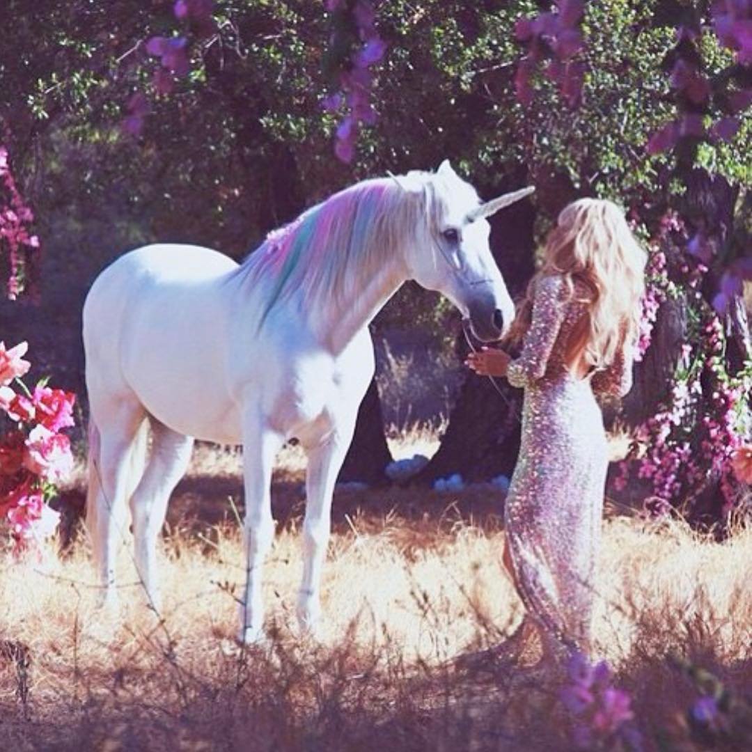 Лошадь с разноцветной гривой