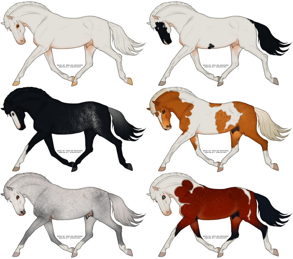 Окрасы лошадей арты