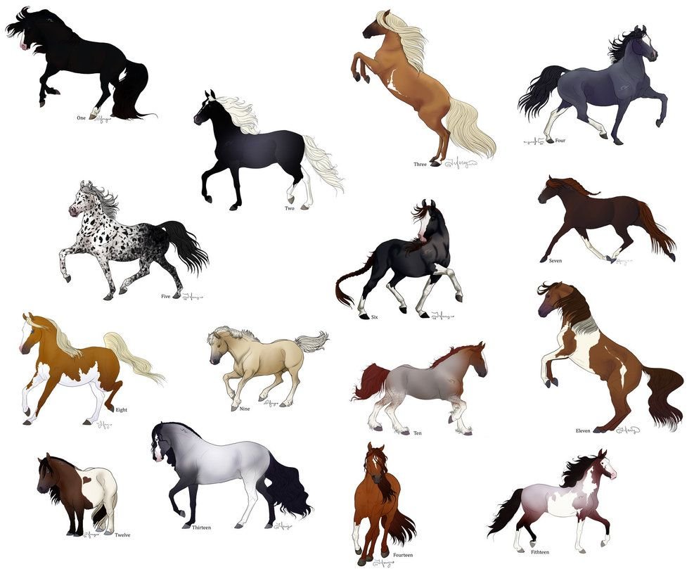 Стихийные лошади