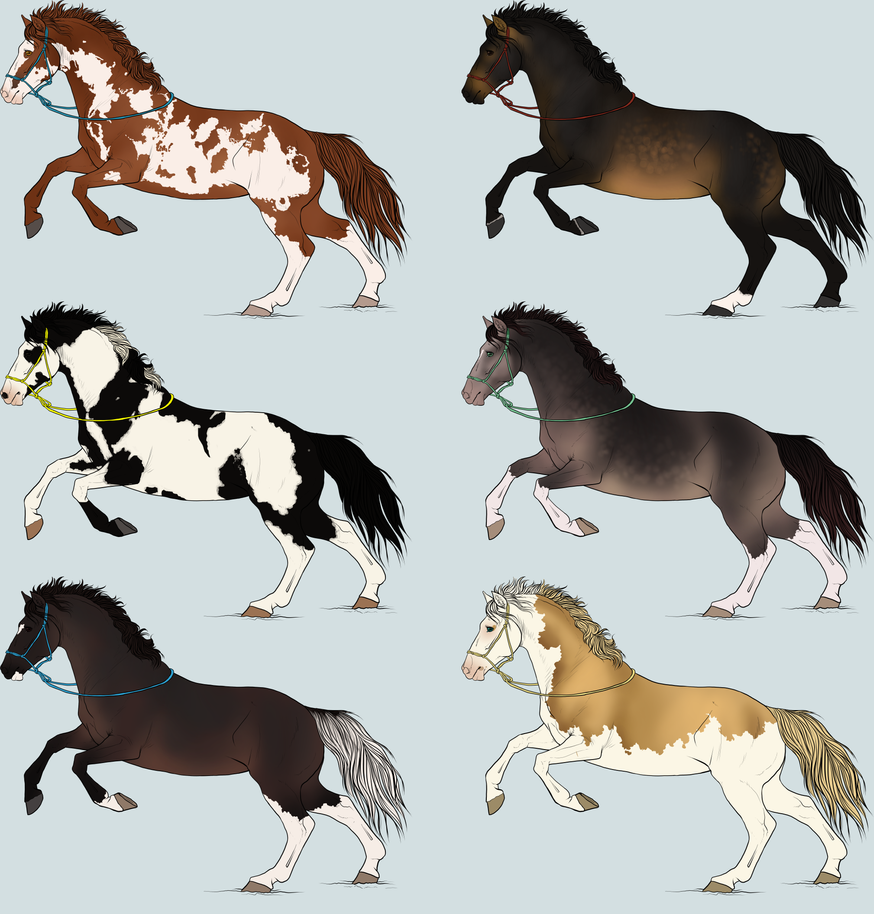 Масти лошадей Arta