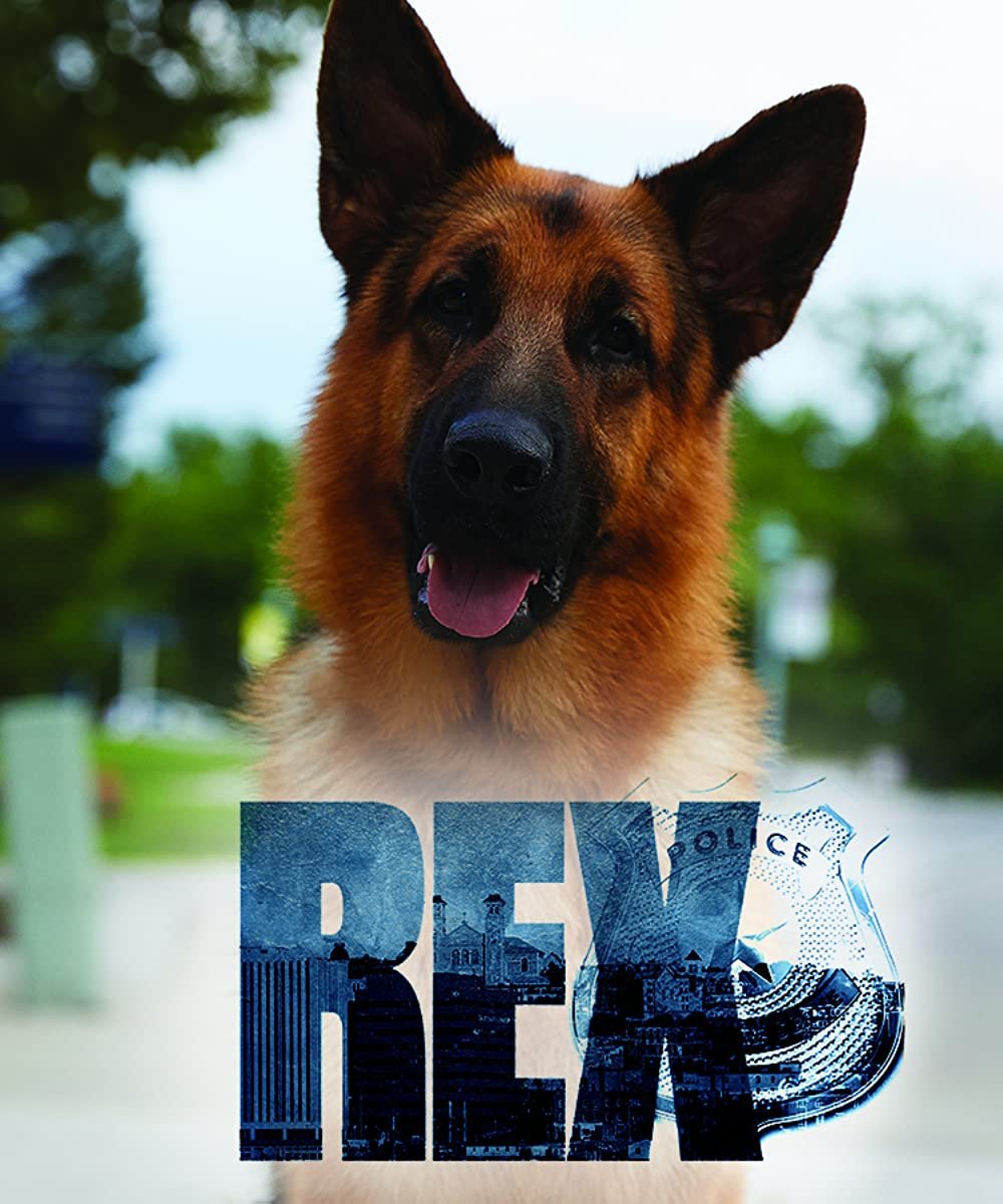 Корги вислоухий