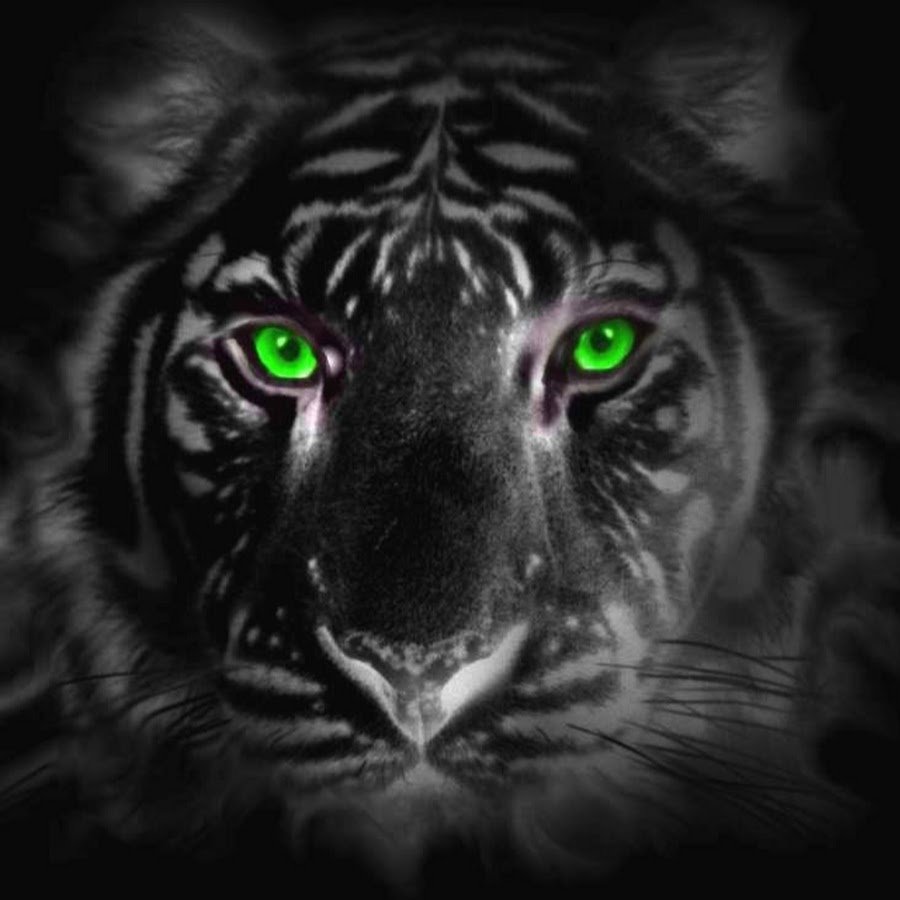 Тигр с зелеными глазами
