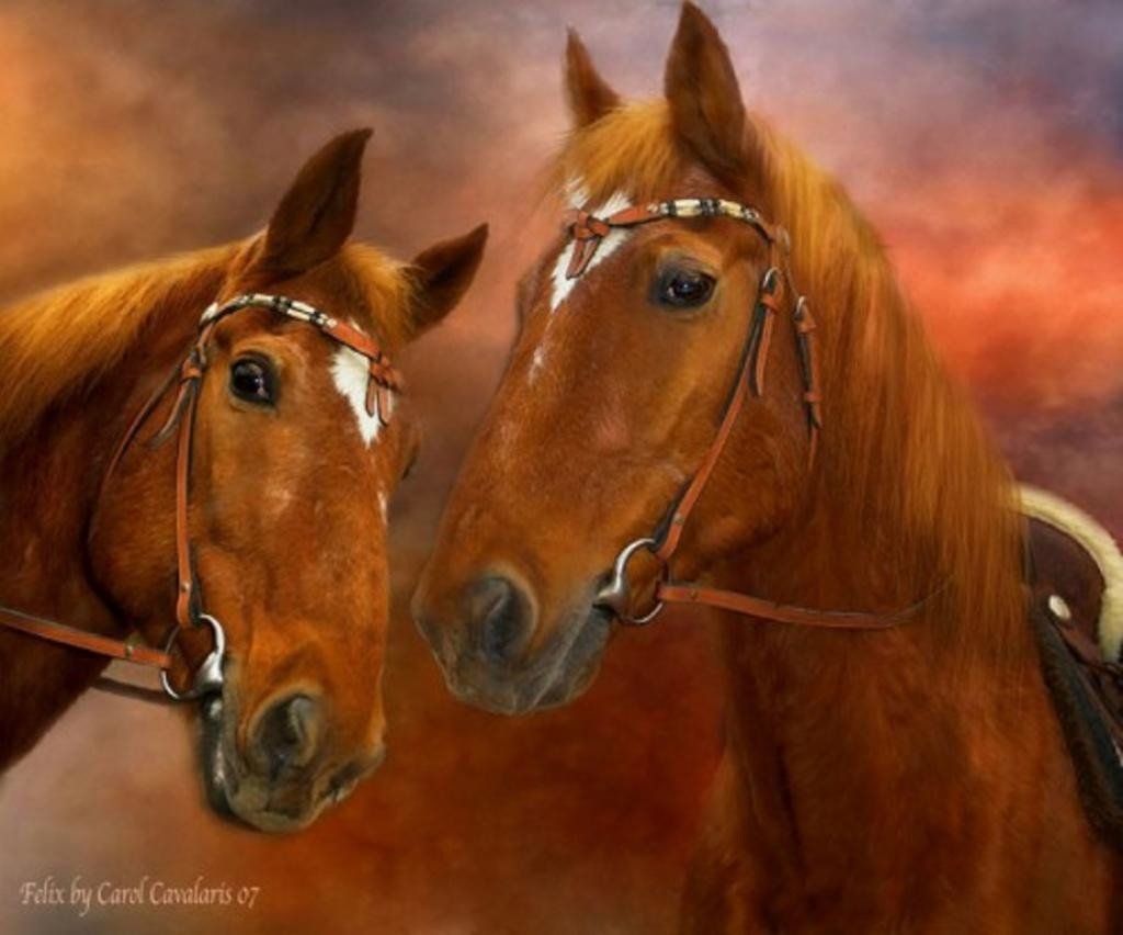 Две лошади картина