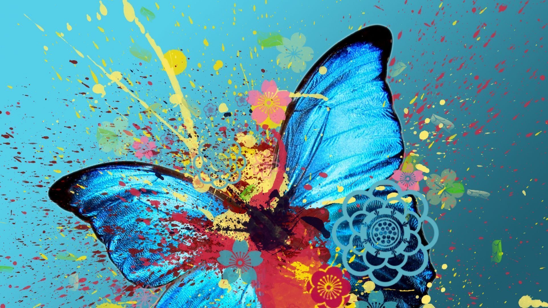 Кратко разноцветная бабочка. Яркие бабочки. Красивый фон с бабочками. Картинки на рабочий стол бабочки. Синяя бабочка.
