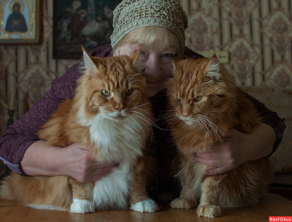 Мейн куны приколы с надписями