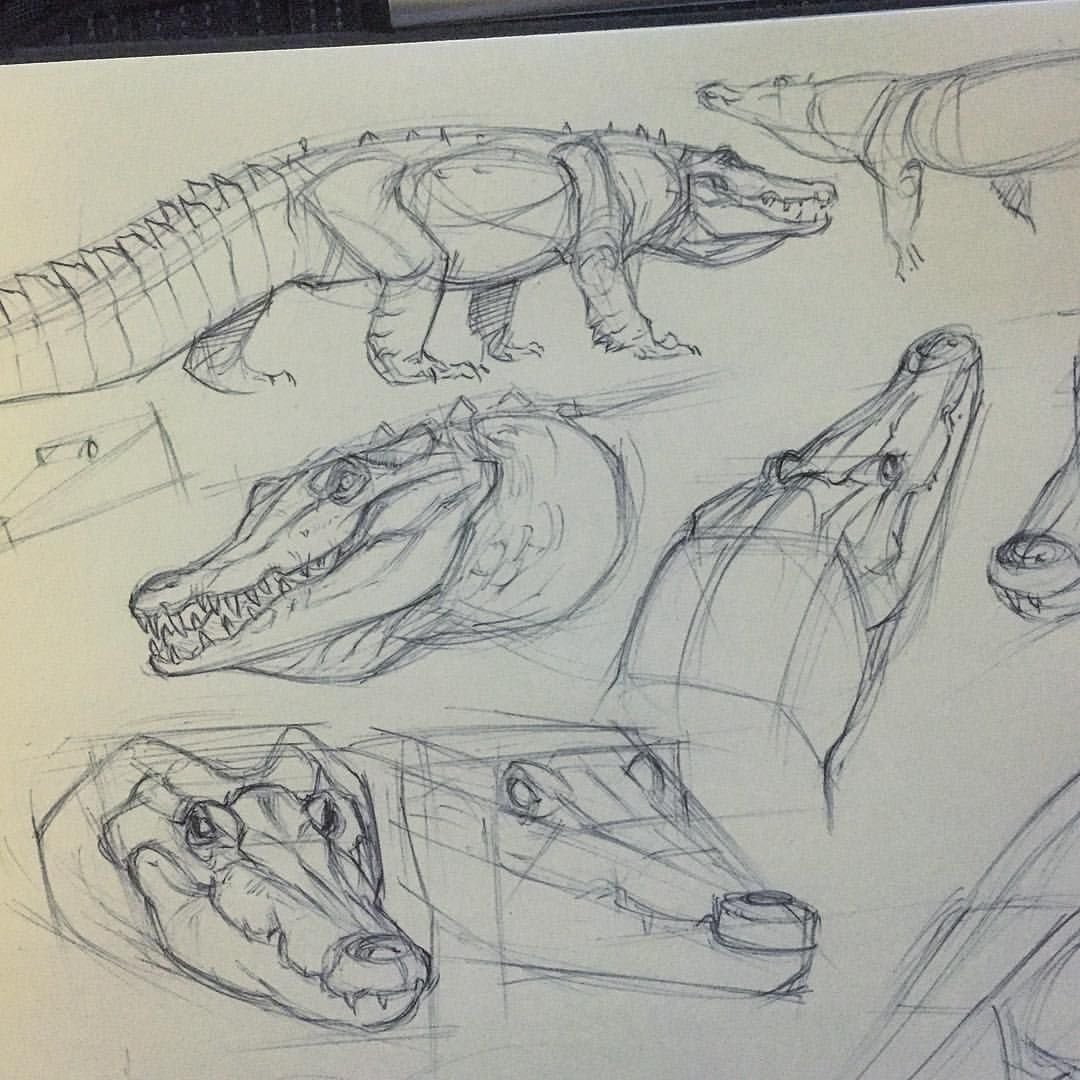 Нильский крокодил референс