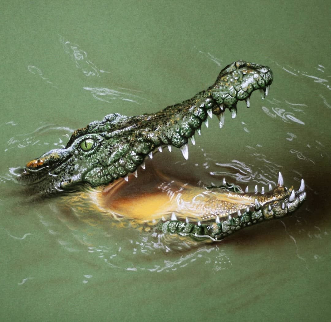 Милый крокодил