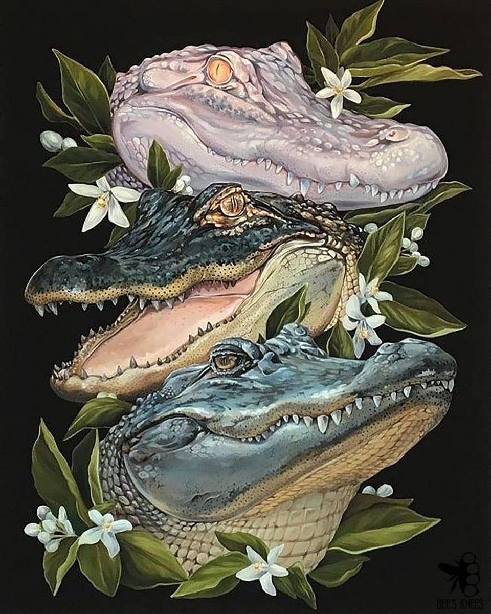 Аллигатор арт