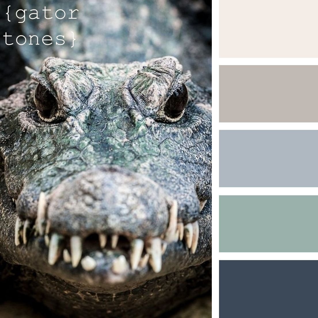 Морда крокодила