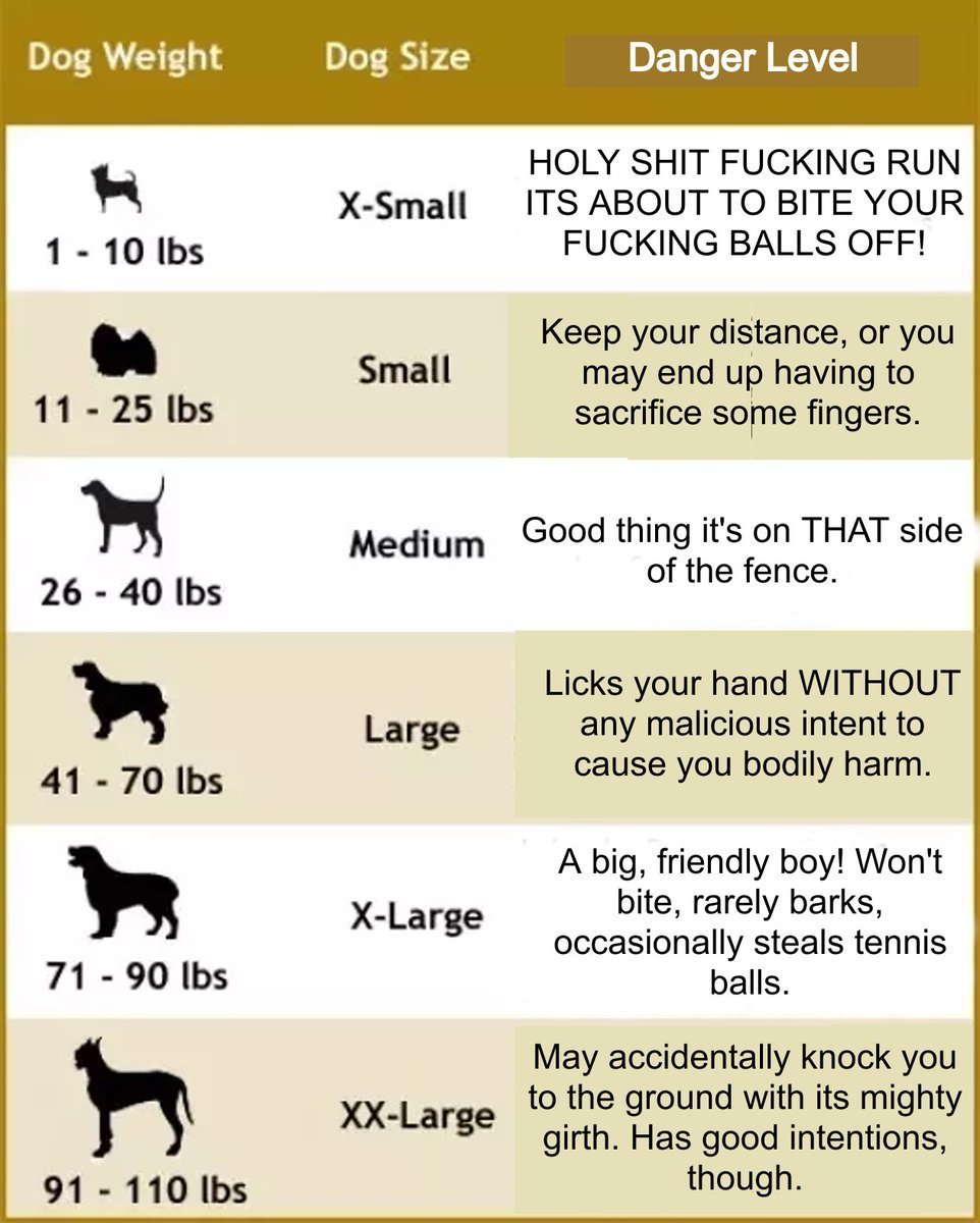 Животные на английском