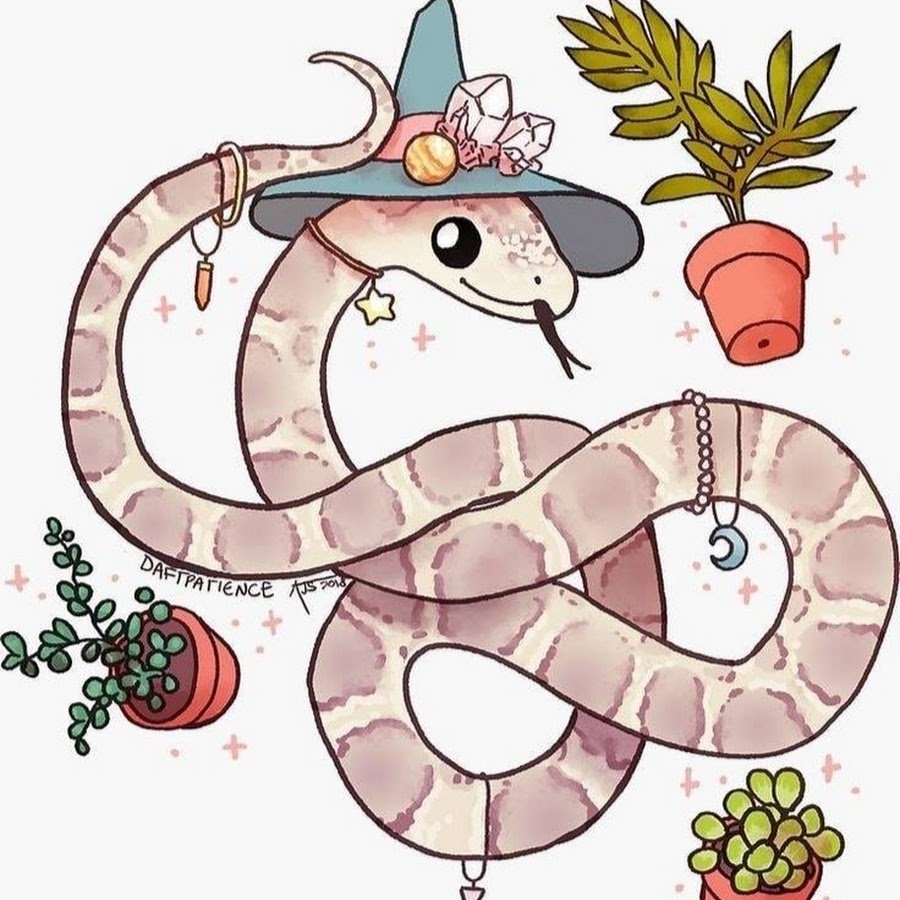 Королевский питон Региус