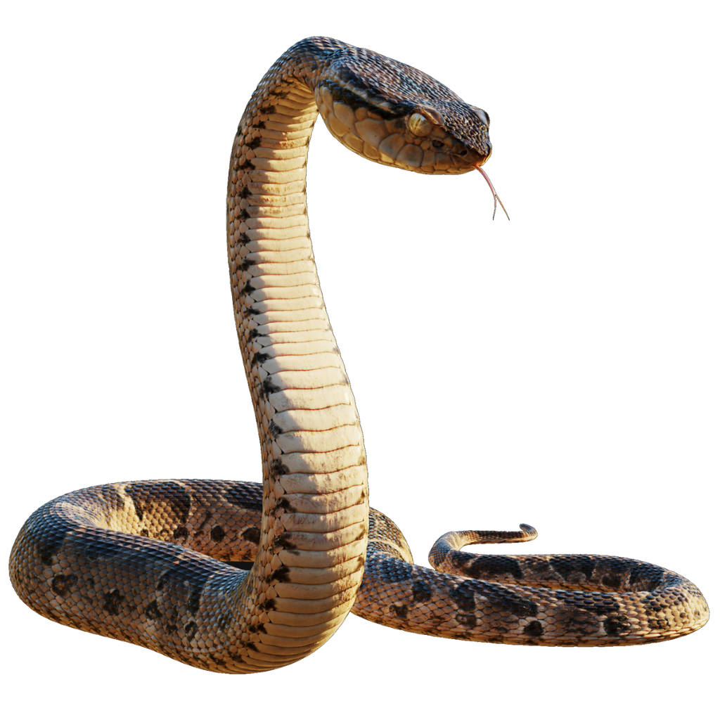 Змея скетчбук