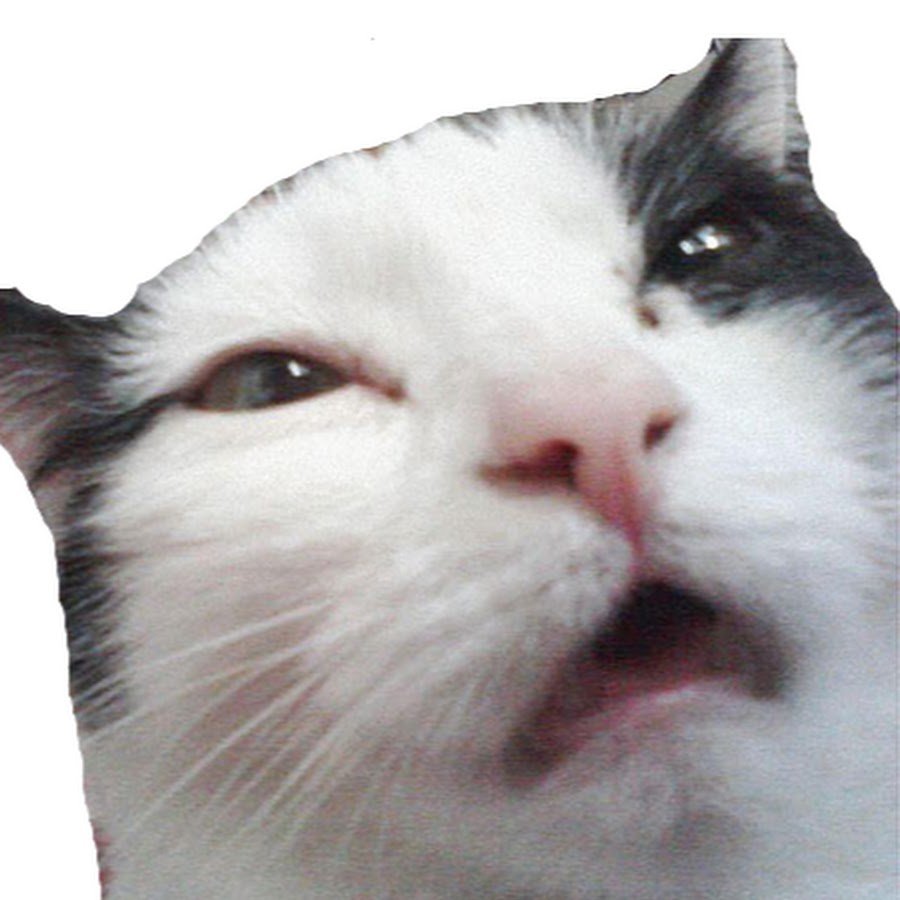 Коза обиделась