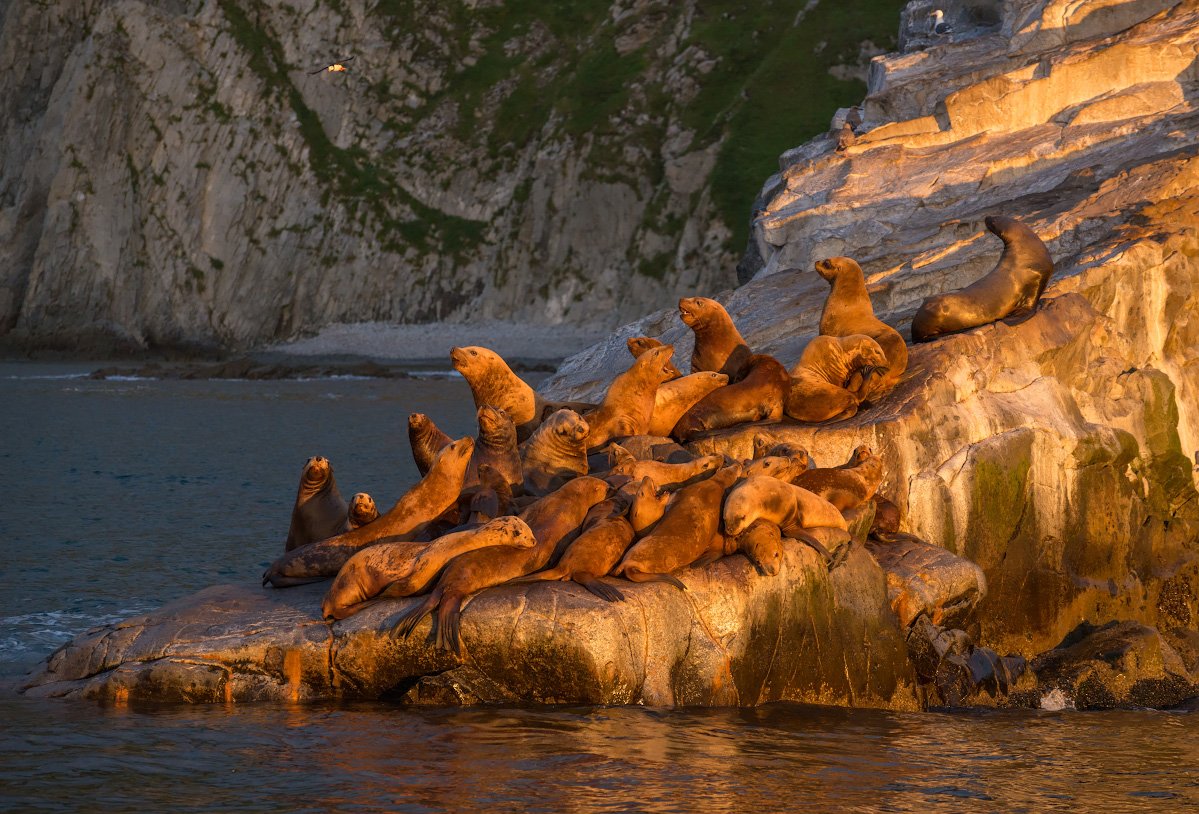 Камчатка природа море