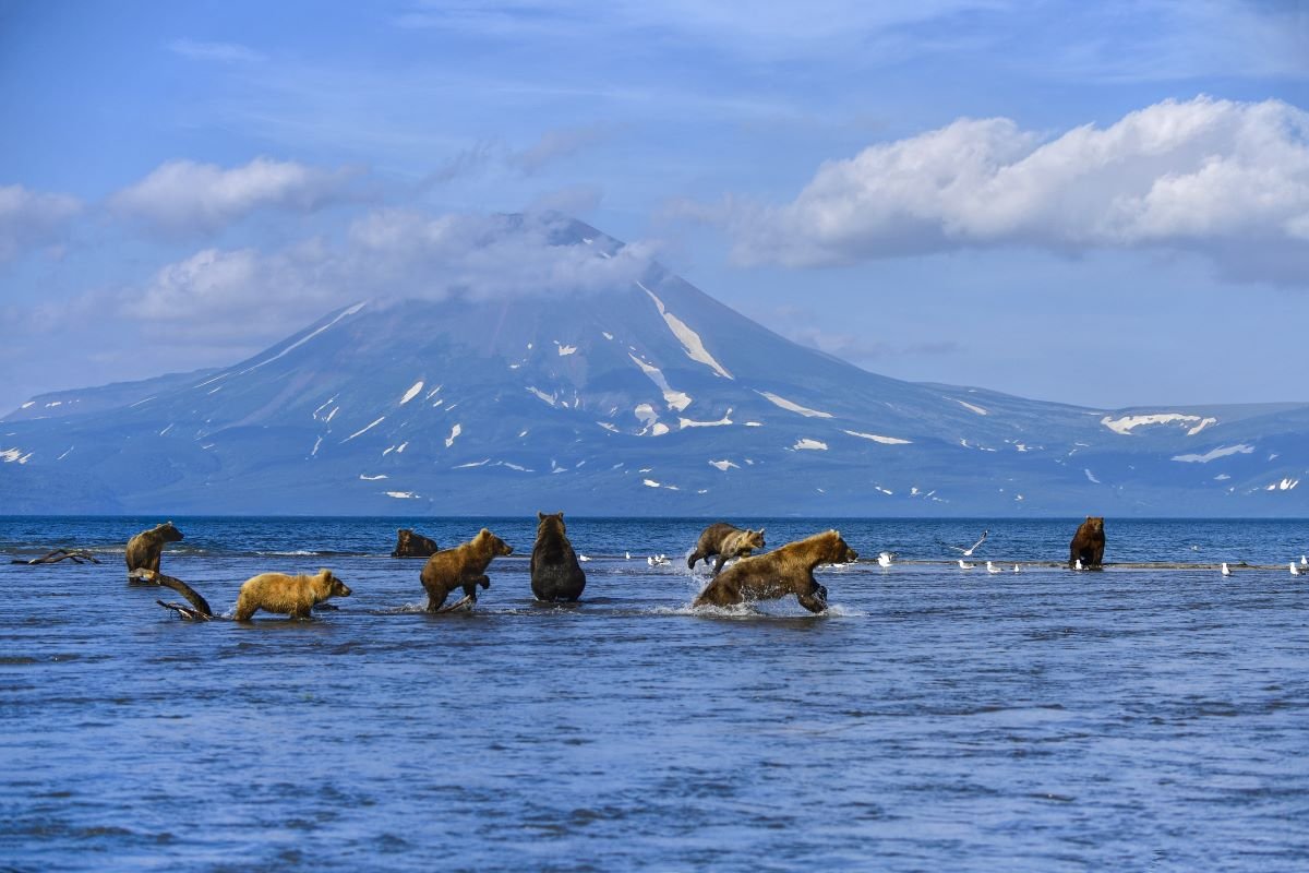 Петропавловск-Камчатский озеро Курильское