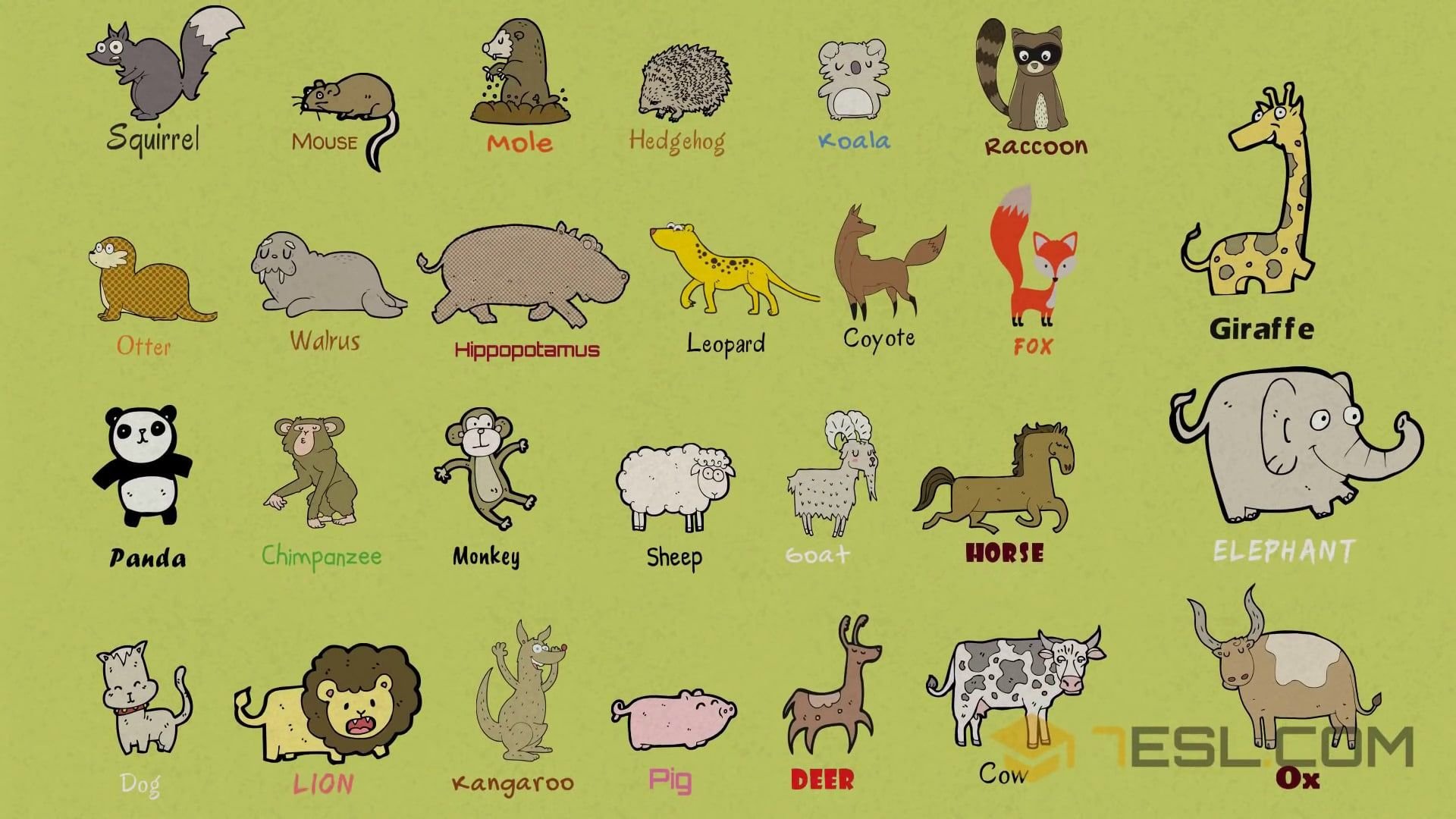 Имя animals. Животные на английском. Названия животных на английском. Млекопитающие на английском. Домашние животные на английском.