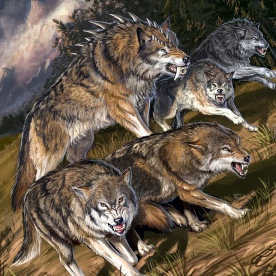 Стая Волков