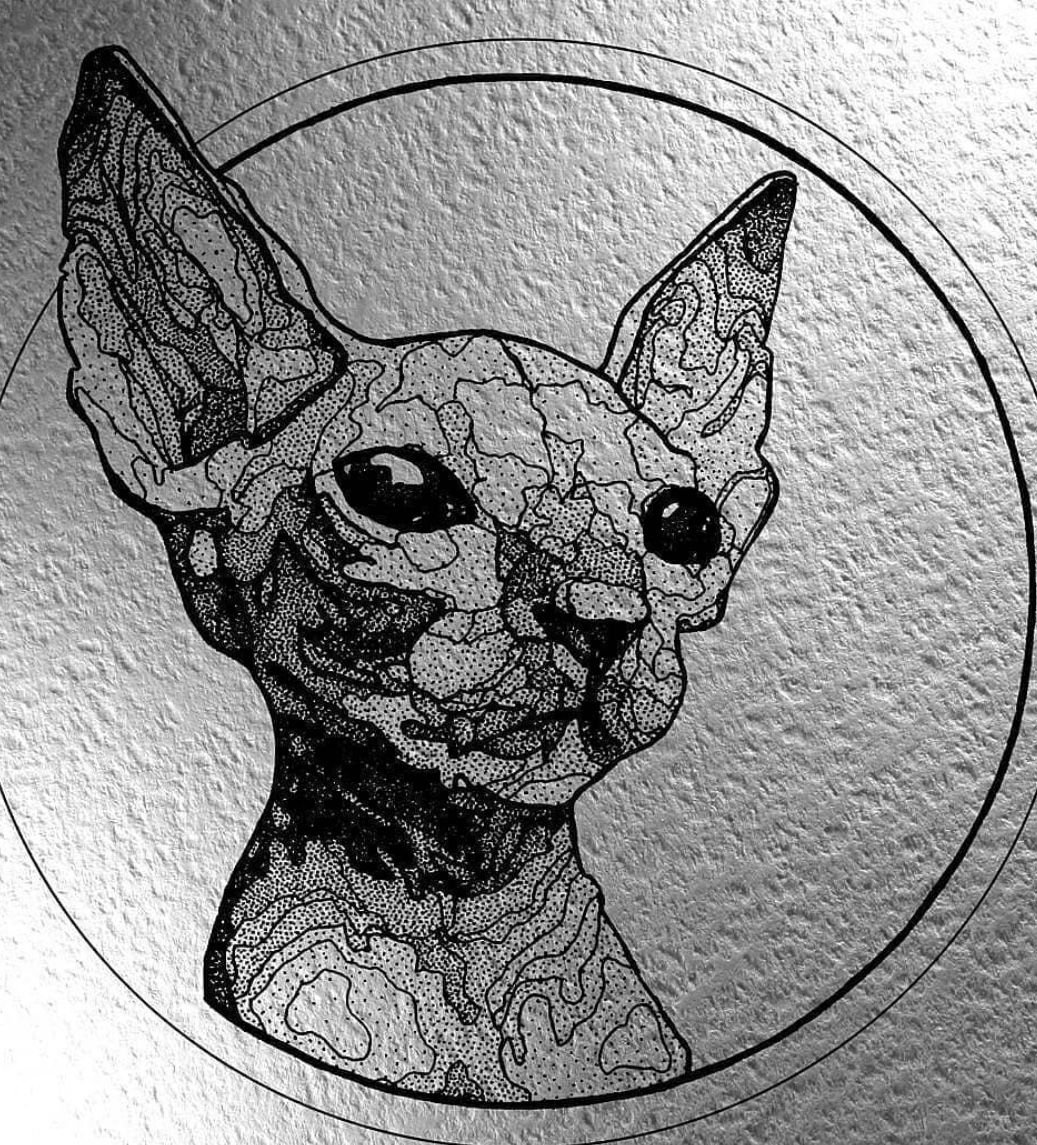 Лысый кот Локи