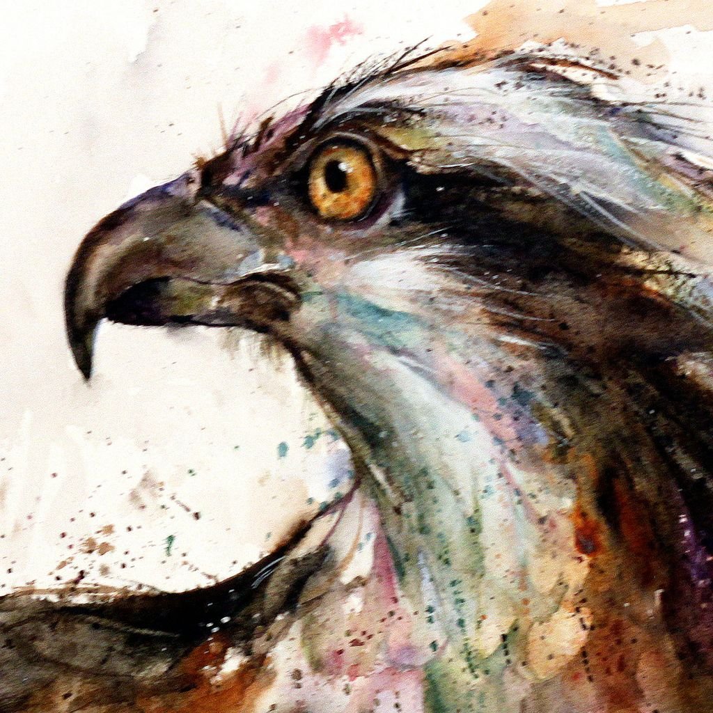 Птицы и звери в акварели Дина Крузера.